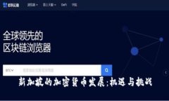 新加坡的加密货币发展：