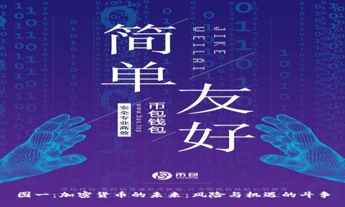 图一：加密货币的未来：风险与机遇的斗争